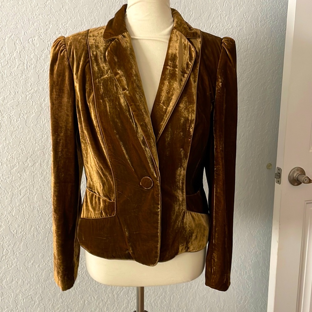Rich and luxurious velvet-like blazer. Size M